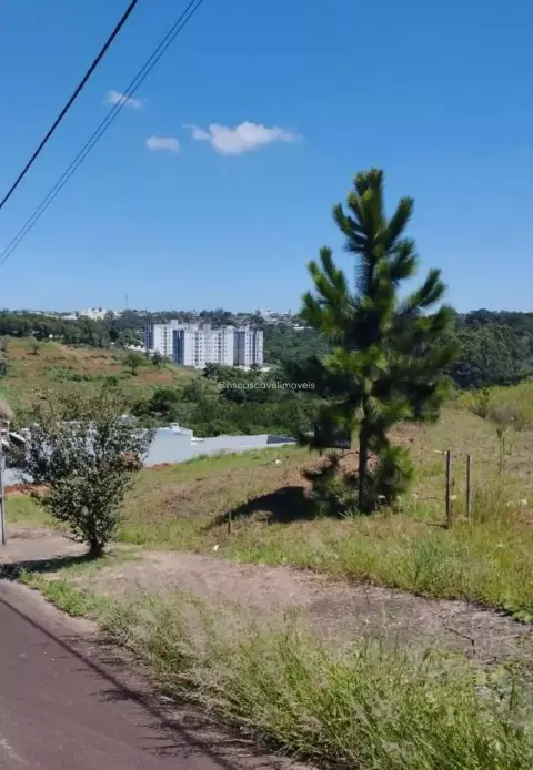 Terreno, 384 m², à venda por R$ 180.000 - Cascavel Velho - Cascavel/PR