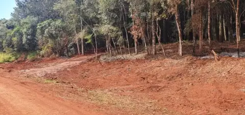 Chácara à venda com escritura , 5000 m² - Cascavel/PR