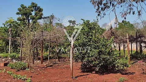 Terreno com Área Total de 1.211,17m² no Profilurb com vista para Roda Gigante - Foz do Iguaçu/PR