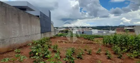 Terreno à venda, 250 m² por R$ 140.000,00 - Floresta - Cascavel/PR