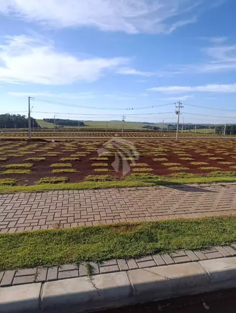 Terreno à venda, 154 m² por R$ 165.000,00 - Bella Vita - Cascavel/PR