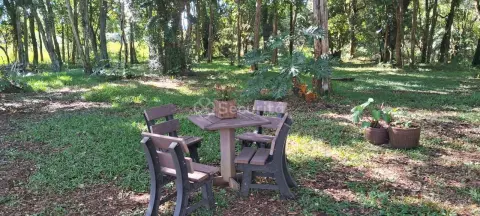 Chácara com 3 quartos, 20.000 m², aluguel por R$ 3.200/mês Rio Do Salto - Cascavel/PR