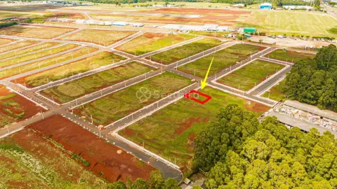 Terreno à venda, 378 m² por R$ 284.100,00 - Loteamento Parque dos Girassóis - Cascavel/PR