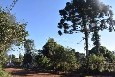 Chácara à venda, 3000 m² por R$ 1.000.000,00 - Lago Azul - Cascavel/PR