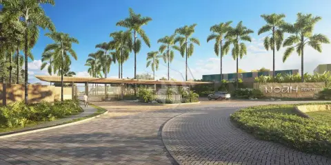 NOAH BEACH