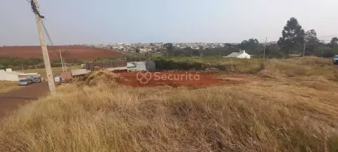 Terreno à venda, 210 m² por R$ 150.000,00 - Morumbi - Cascavel/PR