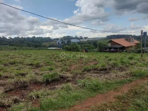 Chácara com 1 dormitório à venda, 2200 m² por R$ 350.000,00 - Zona Rural - Cascavel/PR